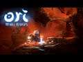 Ori and the Will of the Wisps | Part 32 | Hand to Hand