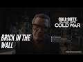Call Of Duty Black Ops Cold War - Stealth Mission Brick In The Wall Gameplay PC 1080p 60FPS