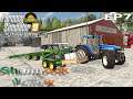 Farming Simulator 19  Shamrock Valley  EP7