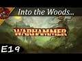 Into The Woods.. | Warhammer Fantasy Role Play 4th Edition | Episode 19