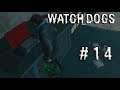WATCH DOGS►14 серия►Без шума и пыли[1080p]