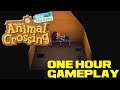 Animal Crossing: New Horizons One Hour Gameplay