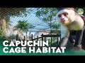Capuchin Monkey Cage Habitat - Planet Zoo Lets Play Franchise Mode