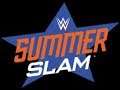 Danrvdtree2000 WWE Summerslam 2019  Predictions