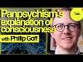 How Panpsychism Explains Consciousness | Phillip Goff