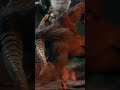 Rajang (ラージャン) Intro - Monster Hunter Rise #shorts