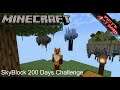 Minecraft SkyBlock 200 Days [Deutsch] - Lets Play - Was ist das für eine Challenge ?
