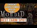 Farming Spot for XP, Lazarus Flowers, Broccoli, Rune of Rage and Terror - MORBID THE SEVEN ACOLYTES