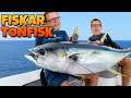 FISKAR TONFISK | Ultimate Fishing Simulator