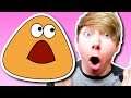 Pou - ALL GROWN UP! (iPhone Gameplay Video)
