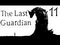 The Last Guardian ITA #11 Storia di una grande amicizia casuale (Fine)
