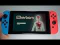 Etherborn Nintendo Switch gameplay