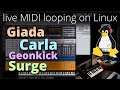 Creating a live loop-based music performance with Giada, Carla, Geonkick and Surge