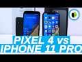 iPhone 11 PRO vs PIXEL 4: confronto fra top cameraphone