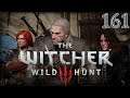 Let's Play The Witcher 3 Wild Hunt Part 161