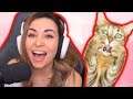 ALINITY IS THE KITTY THROWING CHAMPION!!!