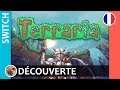 Terraria  - Découverte / Let's play sur Nintendo Switch (Docked)