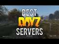 What are the BEST DAYZ SERVERS on PC?