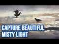 Capture Misty Light in Watercolor | Natural Landscape Painting