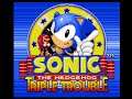 Sonic the Hedgehog : Triple Trouble (Game Gear)