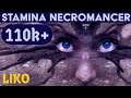 Stamina Necromancer PVE Build (110k+) - 2H/DW - Markarth - Elder Scrolls Online ESO