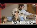 We Got New Puppies | Vlog