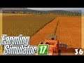Wir haten Baluis Traktor - Landwirtschafts Simulator 17 - 36 - miri33, Balui, Items4Sacred