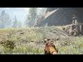 Far Cry® Primal alot of rocks around a cycle is it a Easter egg ?