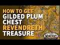 Gilded Plum Chest WoW Treasure