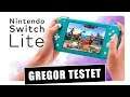 Gregor testet Nintendo Switch Lite im Hardware-Review (Test)