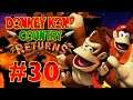 Let's play Donkey Kong Country Returns part 30