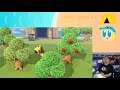 Praise This Rock! (Animal Crossing New Horizons Day 5 Livestream Highlight)