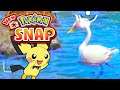 New Pokemon Snap Walkthrough 📷 Park (Day) #2