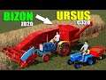 Small Bizon Harvester and Ursus Tractor! Barley Harvest on Mini Farm! Farming Simulator 19