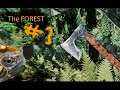 The forest #3 МИНИ ВЫПУСК