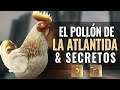 EL POLLÓN PRECURSOR del DLC EL DESTINO DE LA ATLÁNTIDA & OTROS SECRETOS (AC ODYSSEY)