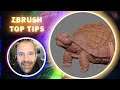 Using Layer Brush & Morph Target to Create Skin Details - ZBrush Top Tips - Daniele Angelozzi