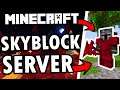 Minecraft: Best Public Minecraft SkyBlock Server! 🔥