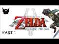 The Legend of Zelda: Twilight Princess - Link, The Errand Boy