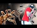 An ARACHNOPHOBE Stuck In An Elevator FULL OF SPIDERS In VR!