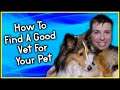 How To Find The Right Veterinarian For You And Pet | Tips and Information | Youtube