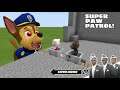 SUPER PAW PATROL.EXE vs Talking Tom in Minecraft - Coffin Meme