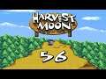 Let's Play - Harvest Moon #Part 56 - Finale und Résumé