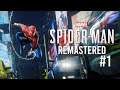 Marvel's Spider-Man Remastered [LIVE/PS5] - Playthrough #1