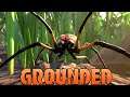 Grounded Gameplay - Hunting Wolf Spiders & Finding Secrets!