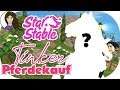 PFERDEKAUF: NEUE TINKER ★ STAR STABLE [SSO DEUTSCH] - Let´s Play