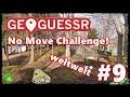 GeoGuessr: No Move Challenge [Weltweit] #9 - Direkter Treffer!