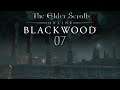 Let's Play ESO - Blackwood [Blind] [Deutsch] Part 07 - Ein unerwarteter Gegner