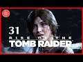 Another big cat - RISE OF THE TOMB RAIDER Playthrough - Part 31 - (Let's Play commentary)