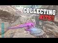 Kit Collecting Enemies At Our Budget Tp | Ark PVP Official E26